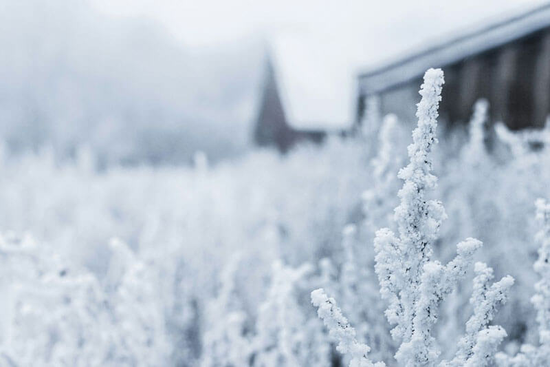 frozen field in the winter, your pipes may freeze as well