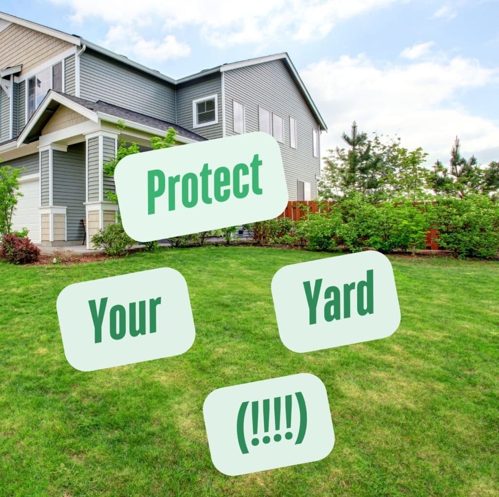 trenchless water line replacement - how to protect your yard